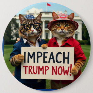 Dam Cats säger implicit Trump Knapp