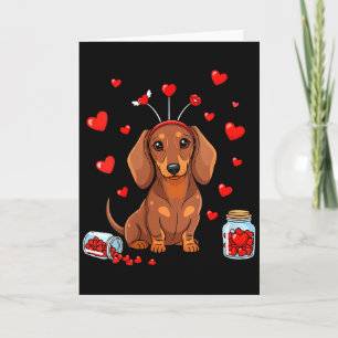 Dam Cute Dachshund Alla Hjärtans Dag Hjärtan Kärle Kort