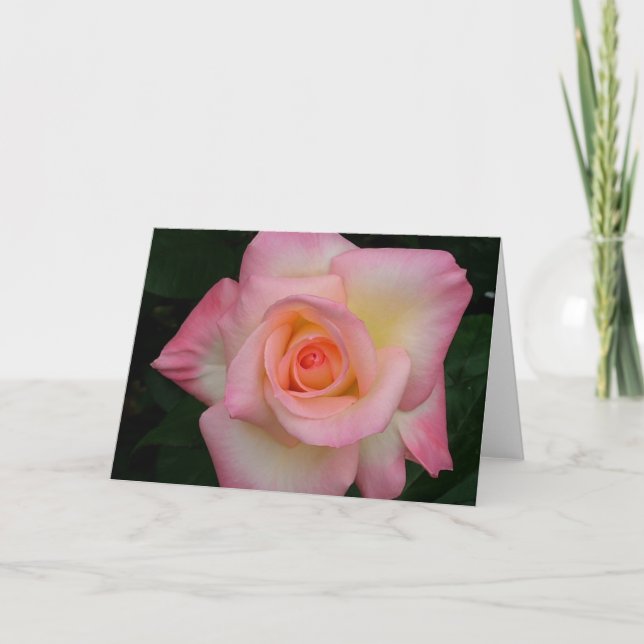 Dam Di Stigning Kort (Framsida)