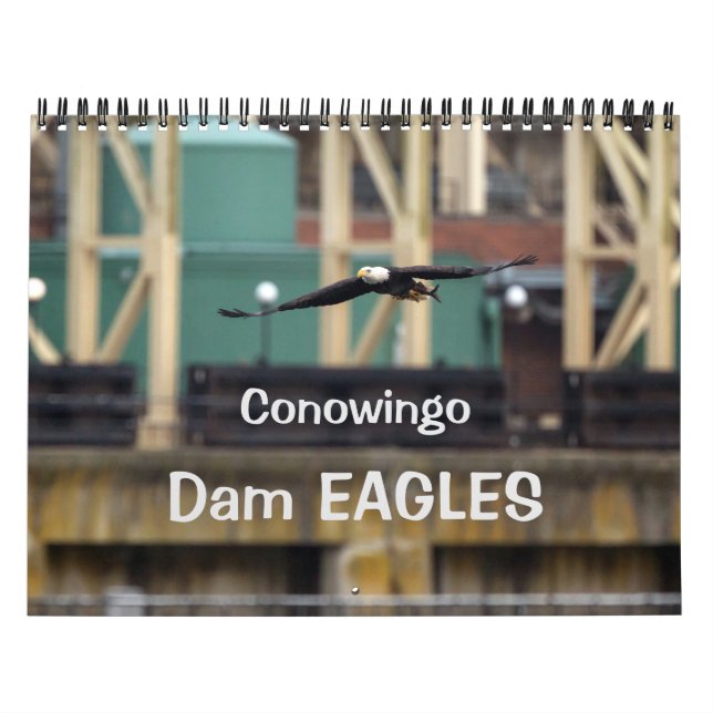 Dam Eagles Kalender (Omslag)