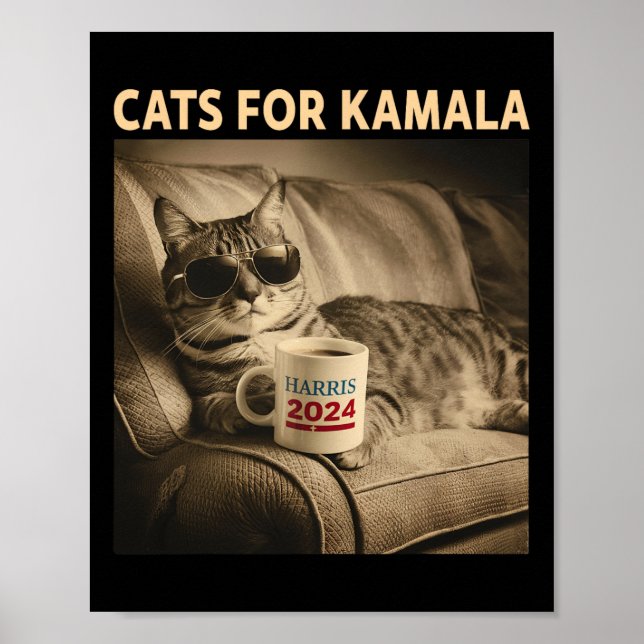 Dam For Kamala Funny Cat 2024 President Kamala Poster (Framsidan)