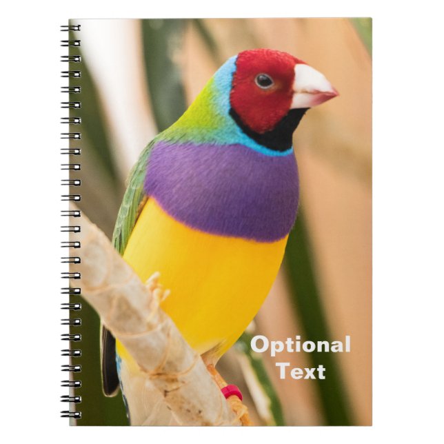 Dam Gouldian Finch Anteckningsbok (Framsidan)