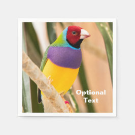 Dam Gouldian Finch Pappersservett