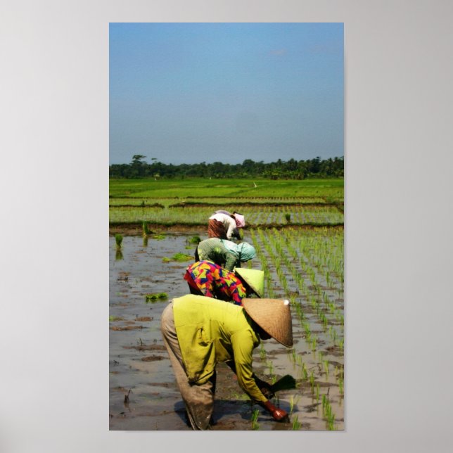 Dam i arbete poster (Framsidan)