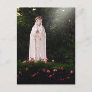 Dam i Fatima-vykort Vykort