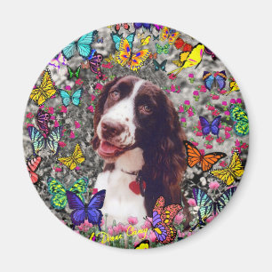 Dam i fjärilar - hund för Brittany Spaniel Magnet