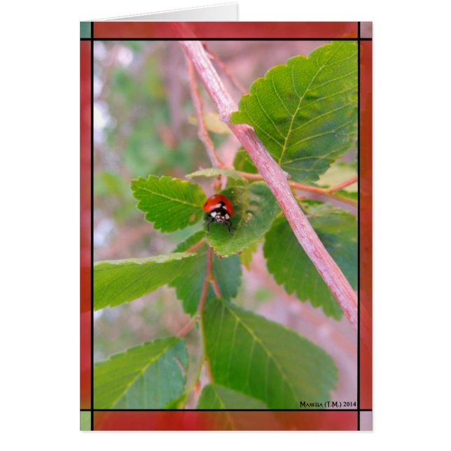 Dam i Röd Hälsningskort (Framsidan)