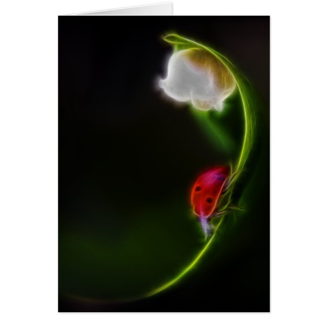 Dam i Valley OBS Kort (Framsidan)