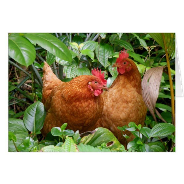 Dam i väntan hälsningskort (Framsidan Horizontal)