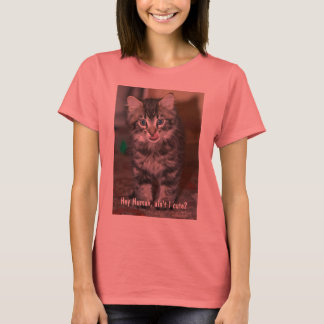 Dam Kitten T Tee Shirt