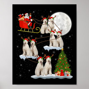 Dam Labradoodle Hund Jultomte Släd Flygande Rolig Poster