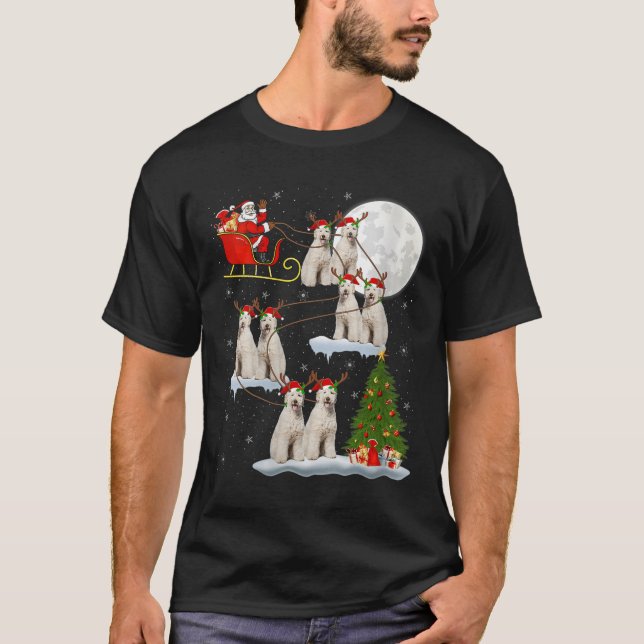 Dam Labradoodle Hund Tomte Släde Flygande Rolig M T Shirt (Framsida)