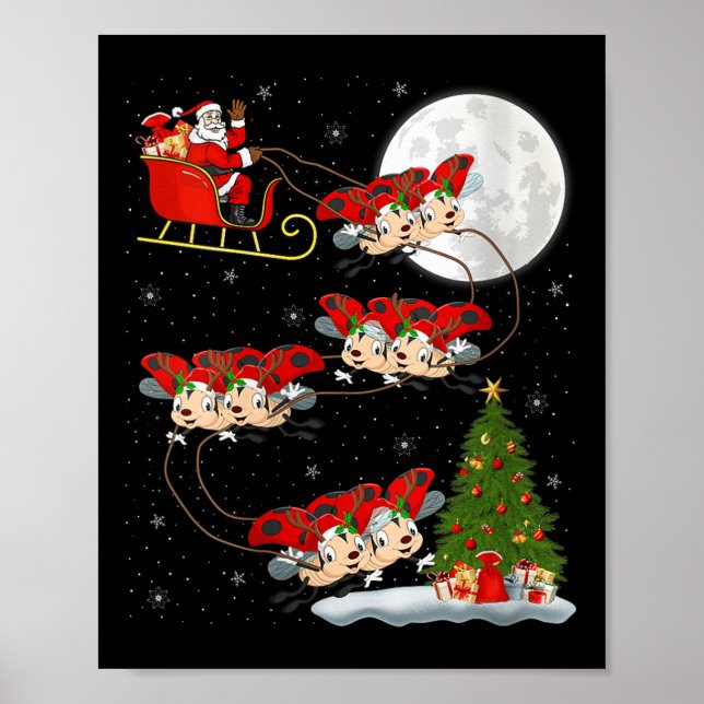 Dam ladybug nyckelpiga jultomte släde flygande rol poster (Framsidan)