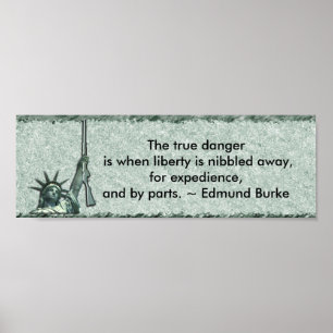 DAM LIBERTY - BUMPER STICKER - EDMUND BURKE QUOTE POSTER
