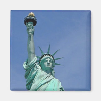 Dam Liberty Magnet
