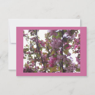 Dam Luncheon med Cherry Blommars bjudande Inbjudningar