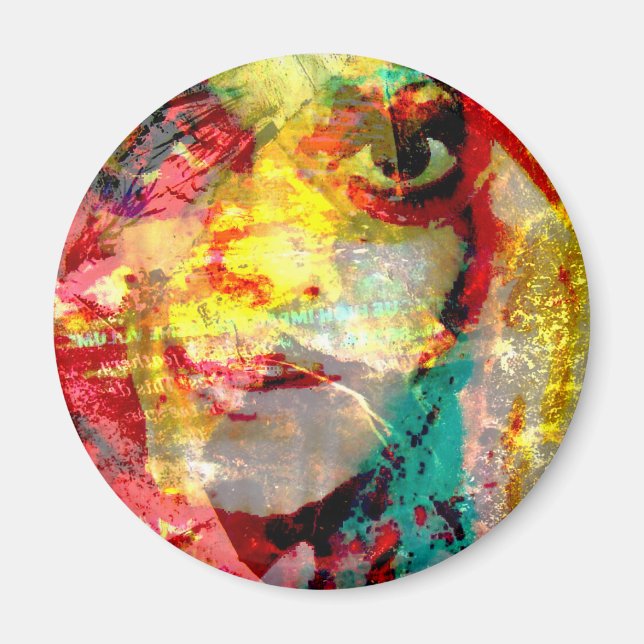 dam magnet (Framsidan)