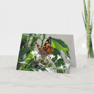 Dam målat på Pentas Greeting Card (9862) Kort