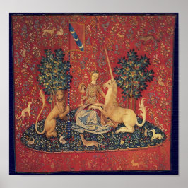 Dam och Unicorn Poster