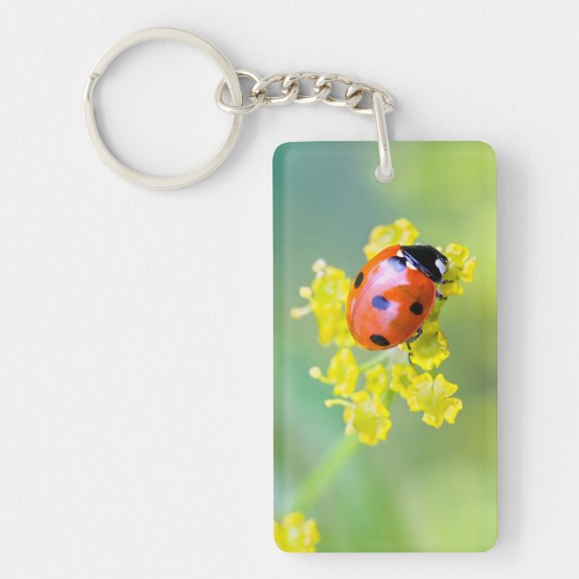 dam överst (Framsidan)