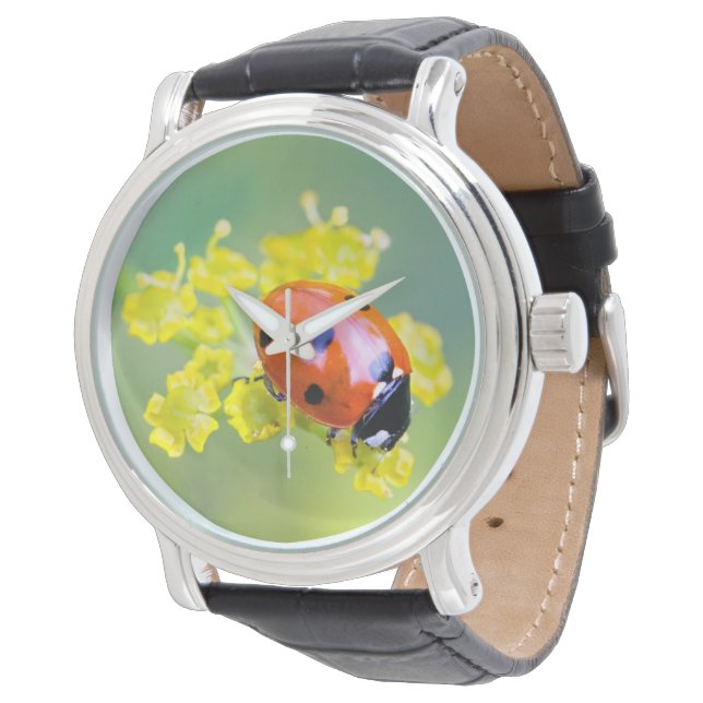 dam överst armbandsur (Vinklad)