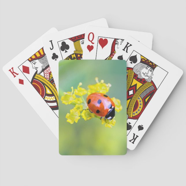 dam överst casinokort (Baksidan)