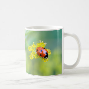 dam överst kaffemugg