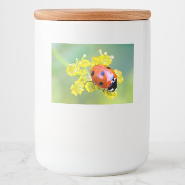 dam överst mat etiketter (Framsida)