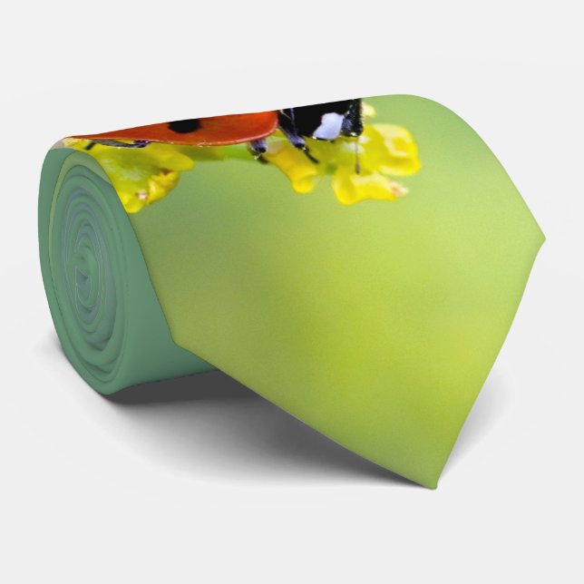 dam överst slips (Rullad)