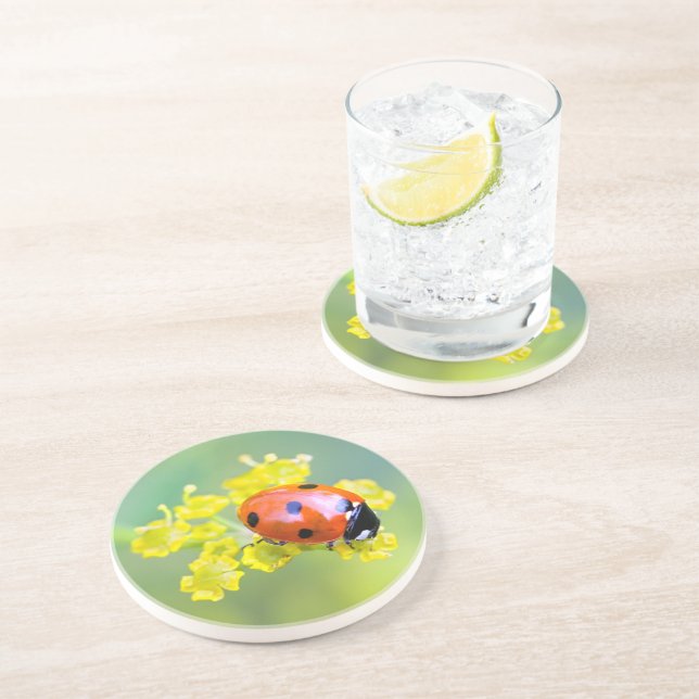 dam överst underlägg sandsten (Sidan)