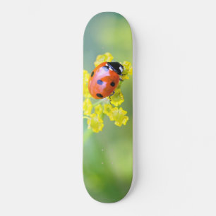 dam på toppen old school skateboard bräda 18 cm