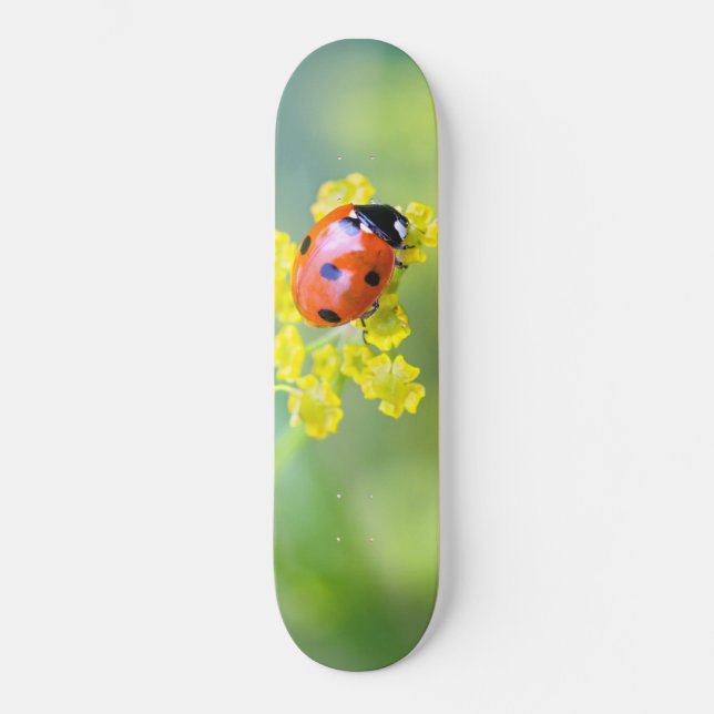 dam på toppen old school skateboard bräda 18 cm (Framsida)