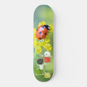 dam på toppen old school skateboard bräda 21,6 cm