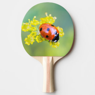 dam på toppen pingisracket