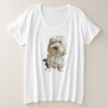 Dam Plus Storlekare Tee Shirt Havanese Hund