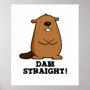 Dam Rak Sassy Beaver Pun Poster