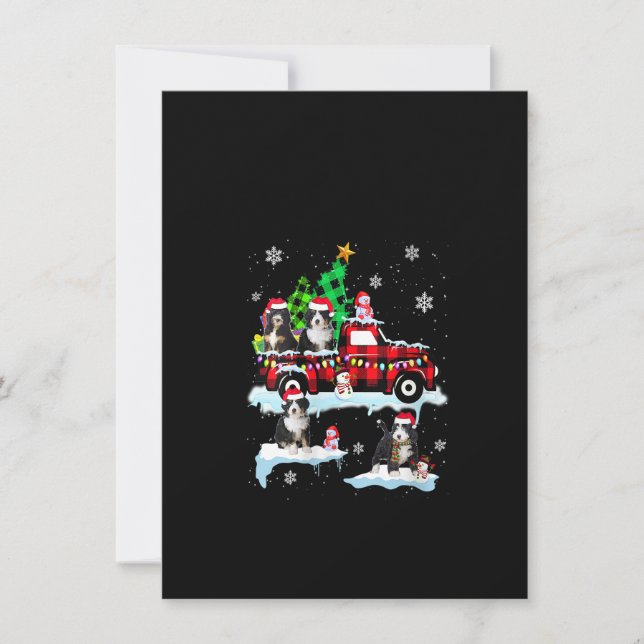Dam Santa Bernedoodle På Röd Karetärfläckig Pickup Inbjudningar (Framsida)