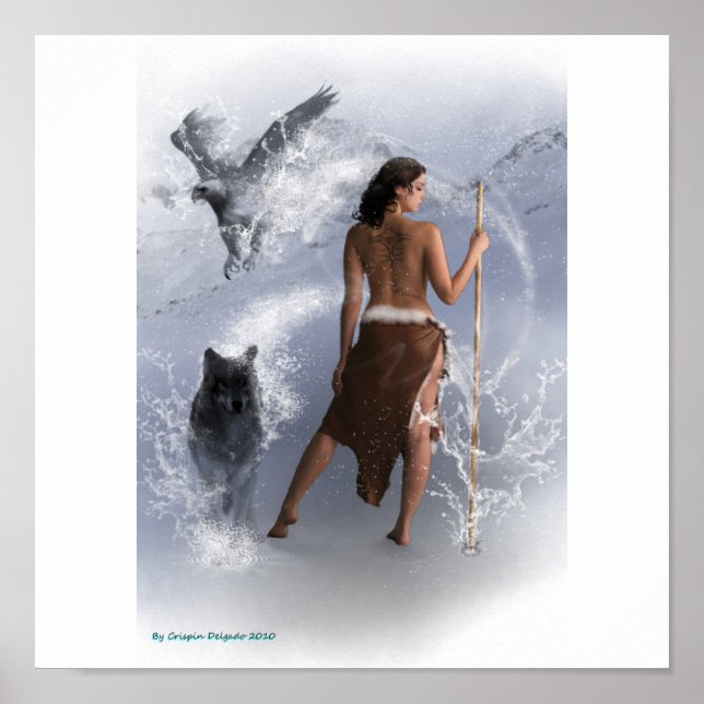 Dam Shaman Poster (Framsidan)