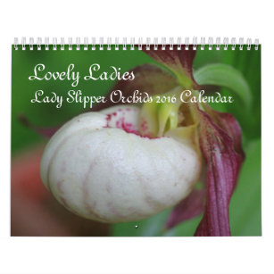 Dam Slipper Orchid Flowers Kalender