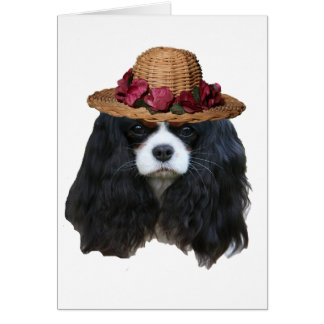 Dam Tansy Hälsningskort