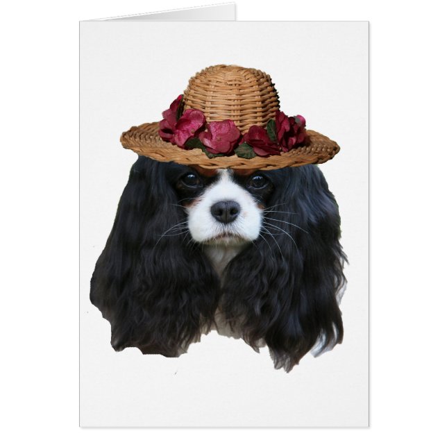 Dam Tansy Hälsningskort (Framsidan)