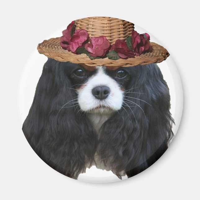 Dam Tansy Magnet (Framsidan)