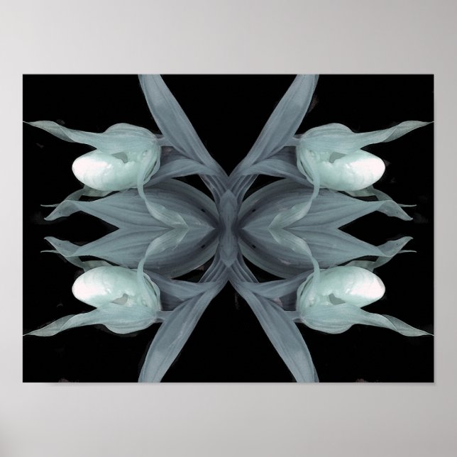 Dam tochid - Skriv ut Poster (Framsidan)