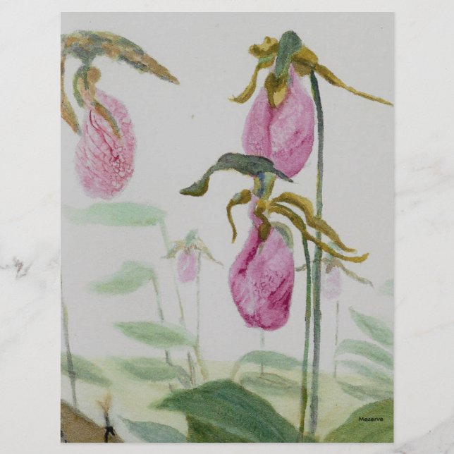 Dam Tofflor (Framsida)