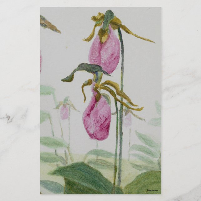 Dam Tofflor Brevpapper (Framsida)