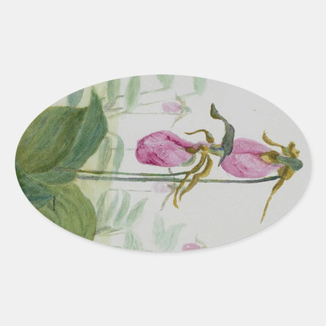 Dam Tofflor Ovalt Klistermärke (Framsida)