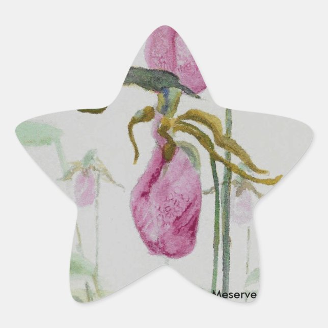 Dam Tofflor Stjärnformat Klistermärke (Framsida)