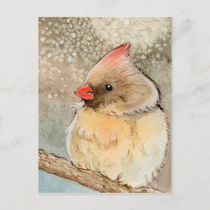 Dam Winter Cardinal Vykort