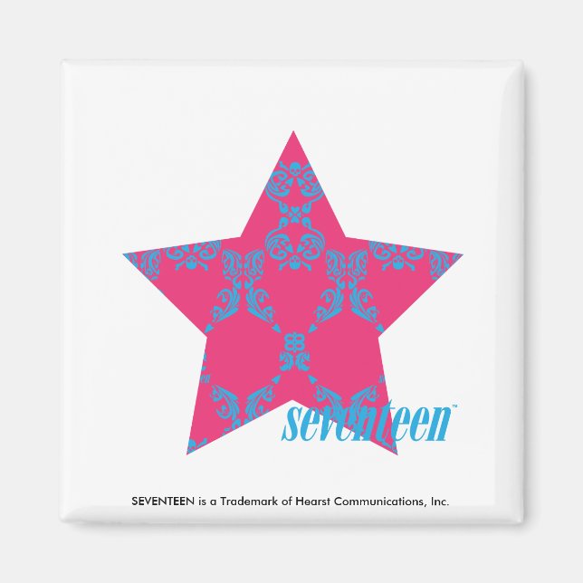 Damask Aqua-Magenta 2 Magnet (Framsidan)