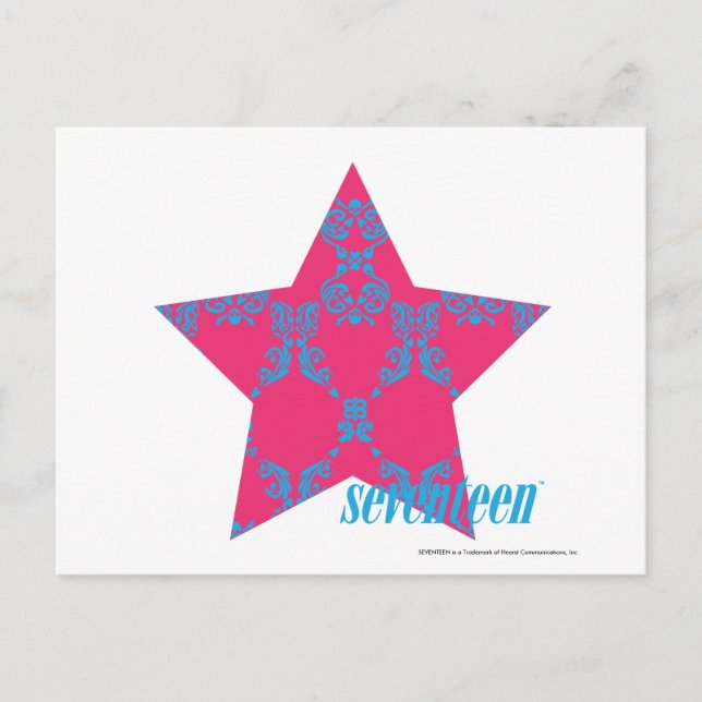 Damask Aqua-Magenta 2 Vykort (Framsida)